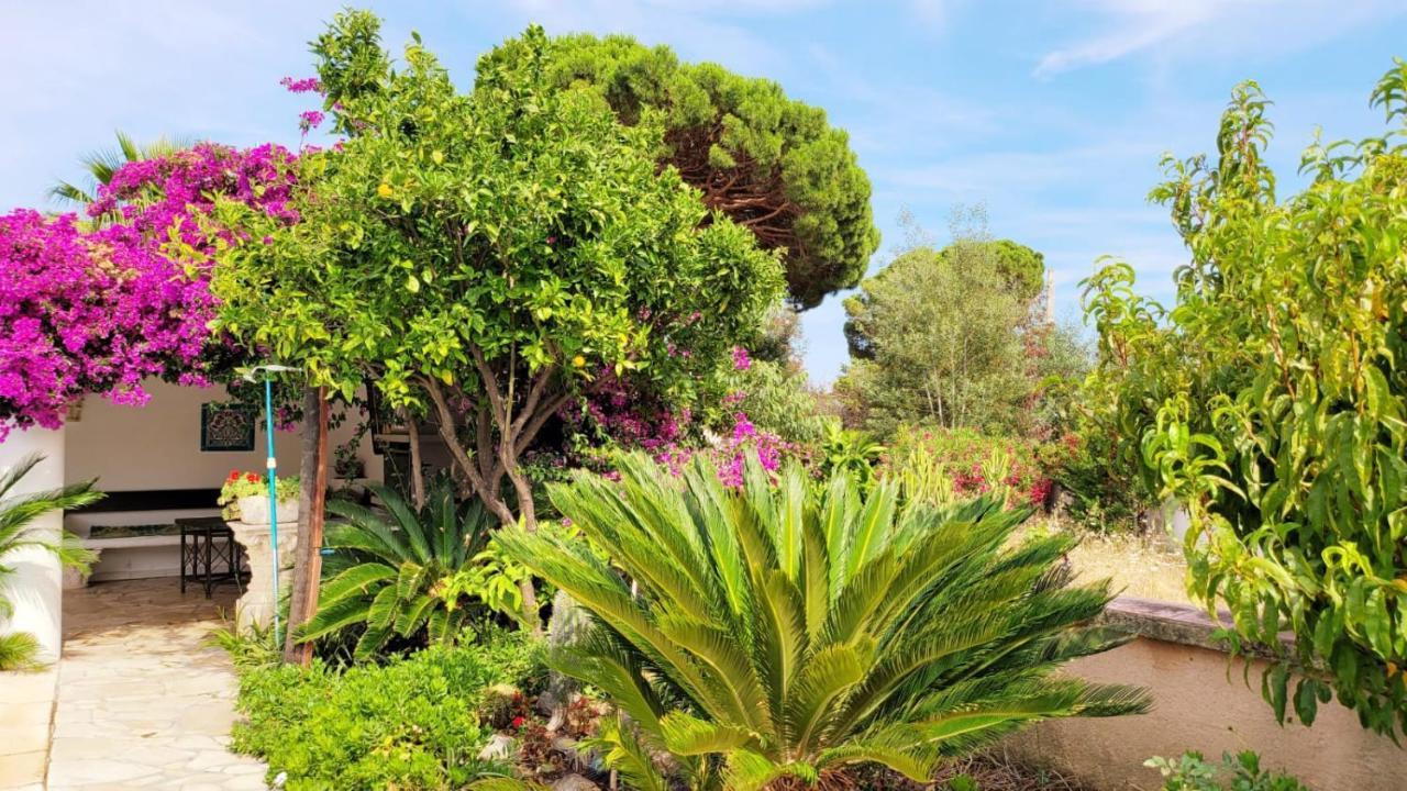 Villa Provencale A Sainte Maxime, Golf De Saint Tropez Екстериор снимка