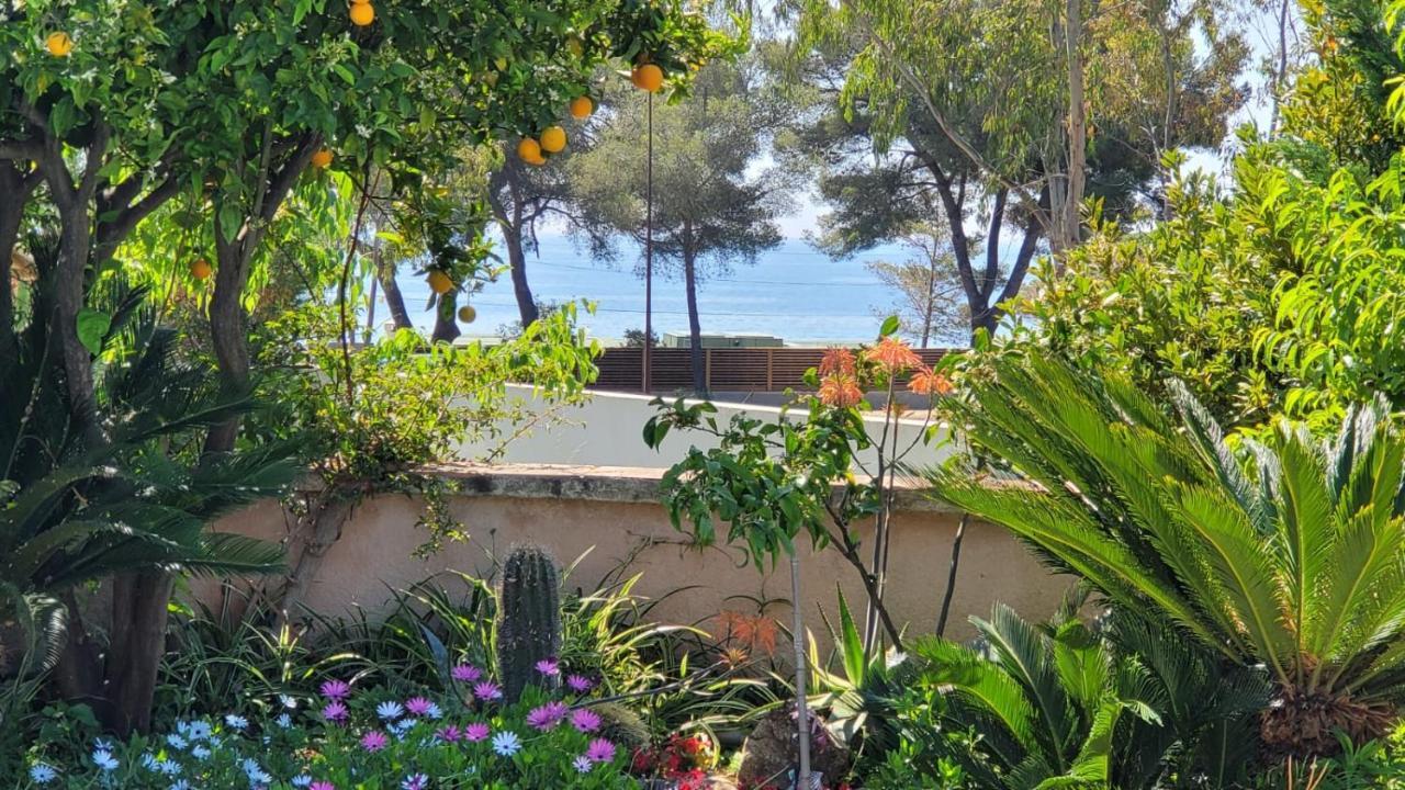 Villa Provencale A Sainte Maxime, Golf De Saint Tropez Екстериор снимка